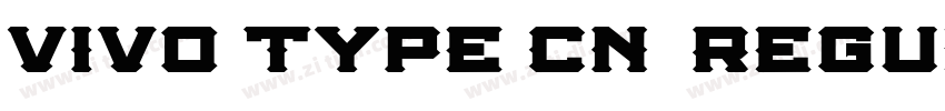 vivo type CN简 Regula字体转换
